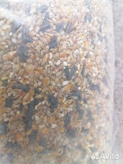 Зерносмесь