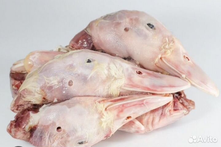 Мясо для собак, Свиной калтык