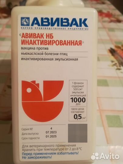 Средне азиатские голуби