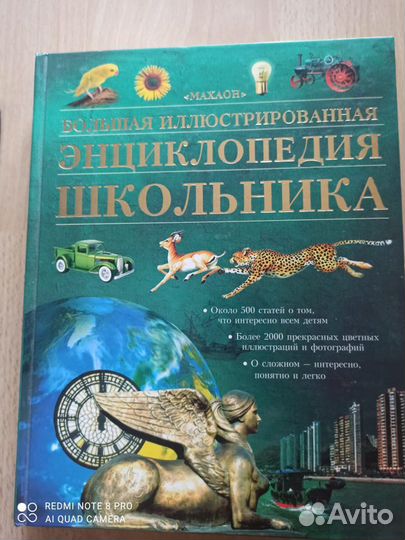 Большая иллюстрированная энциклопедия школьника