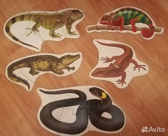 Пазлы детские на 2-6 деталей