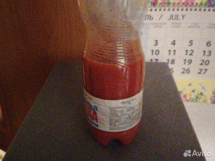 Винный гриб