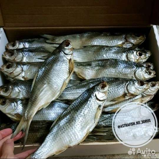 Астраханская вяленая вобла