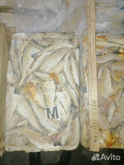 Минтай мороженый без головы