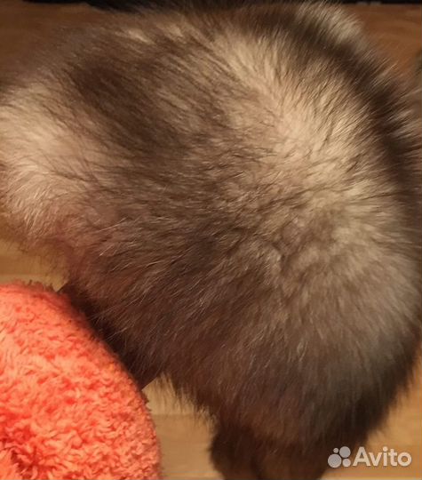 Воротник песцовый светлый