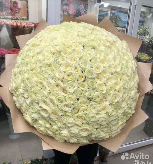Розы 151 штука 70 см бесплатная доставка