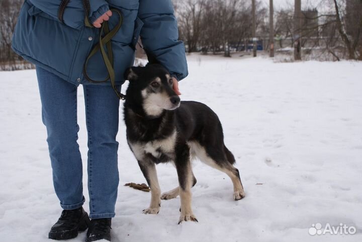 Всю жизнь в приюте