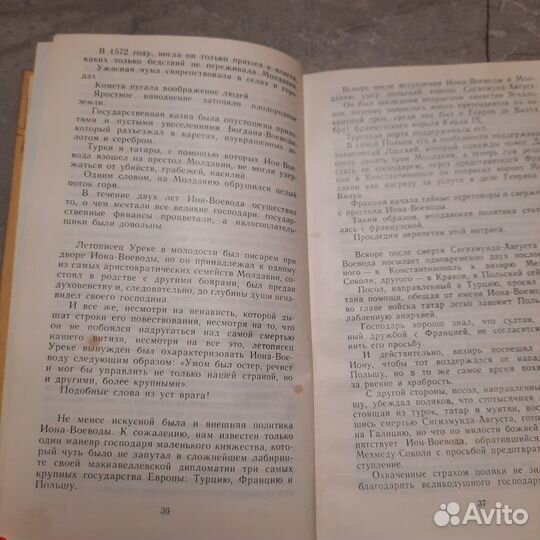 Ион-Воевода Лютый. Хашдеу. 1989 г