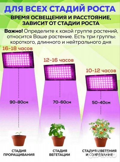 Фитолампа для рассады растений фитосветильник