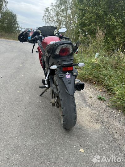 Рейсер скайвей 250