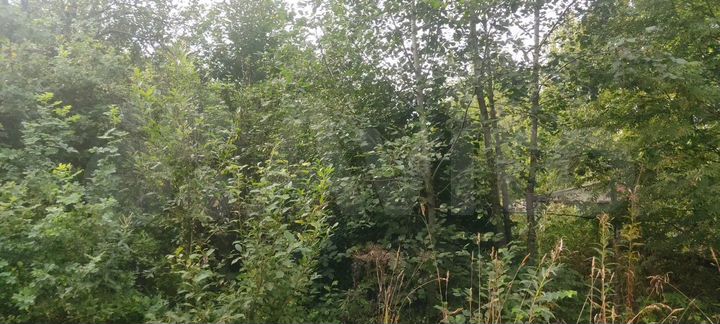 Участок 6,6 сот. (СНТ, ДНП)