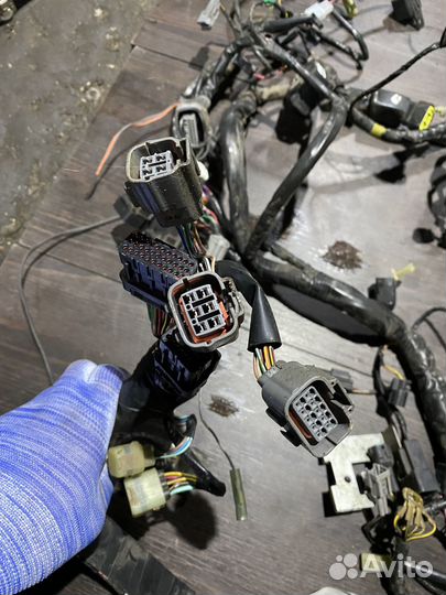 Коса проводки для z1000sx 11-13 ABS