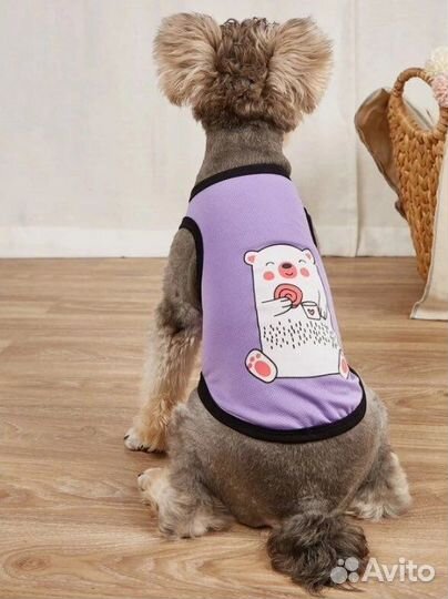 Майки для собак и кошек разные цвета