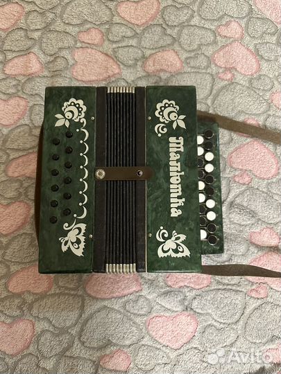 Гармонь малютка