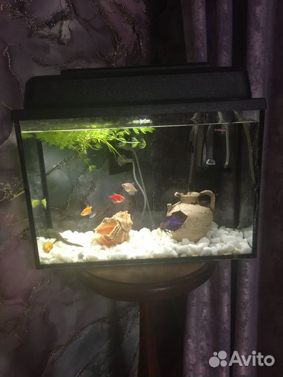 Аквариум 15 л