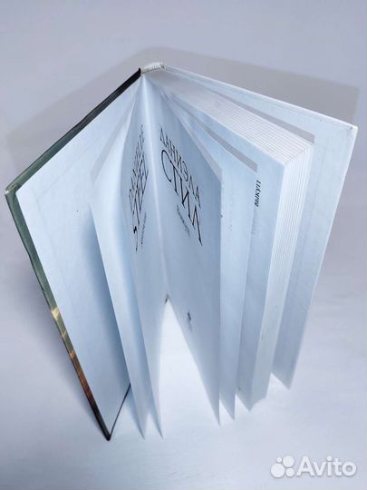 Даниэла Стил. Выкуп. Роман