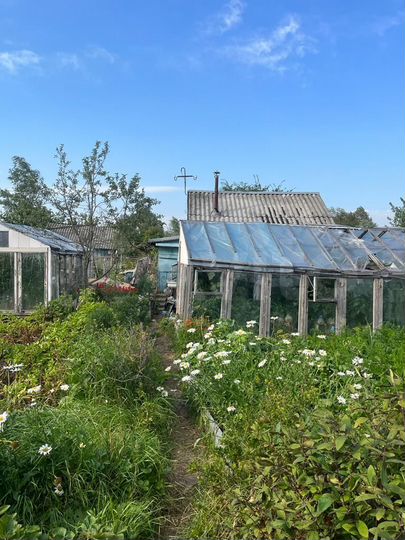 Дача 20 м² на участке 6 сот.