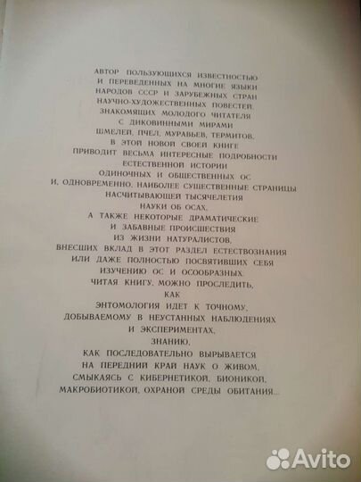 Четырехкрылые корсары. Книга