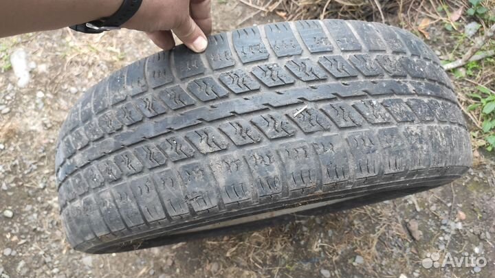 Запаска соболь