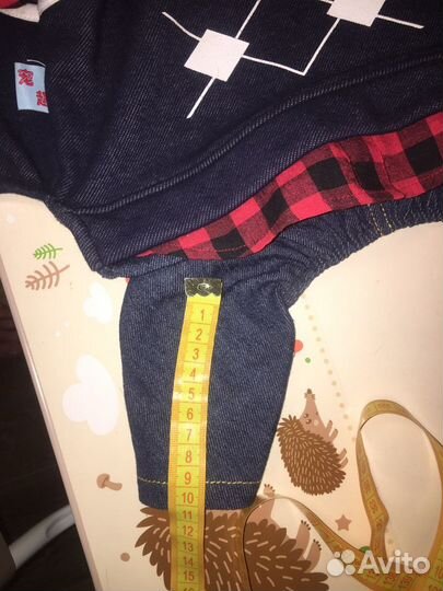 Костюм для собаки