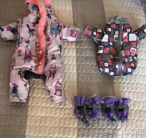 Одежда для той терьера мини