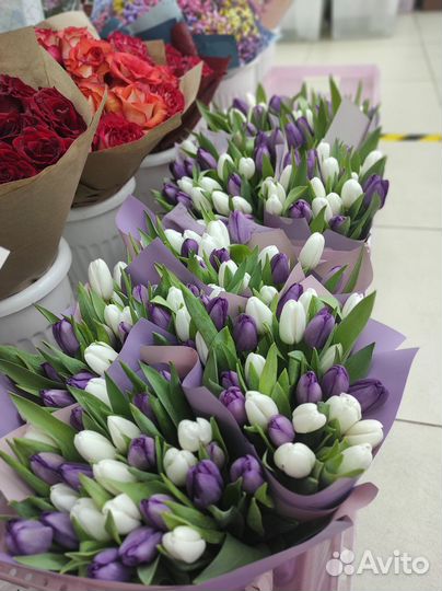 Тюльпаны к 8 марта Пионовидные Разноцветные