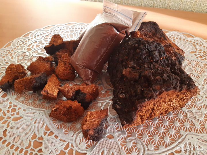 Березовый гриб чага