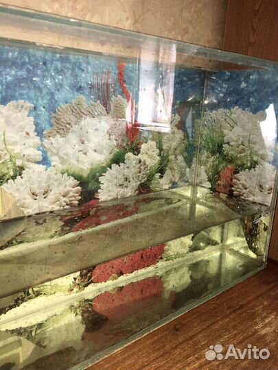 Аквариум