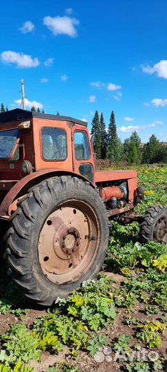 Трактор ЛТЗ Т-40AM, 1992