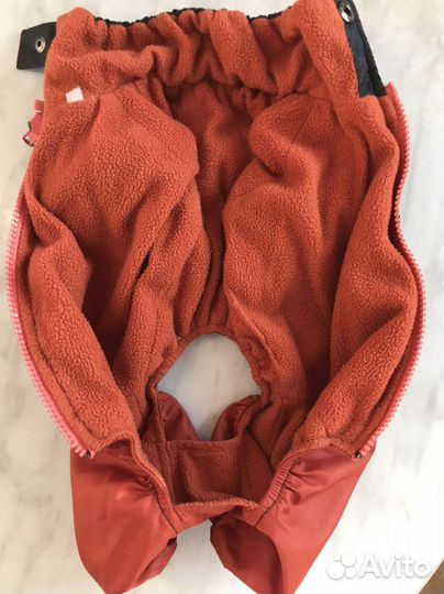 Одежда для собак