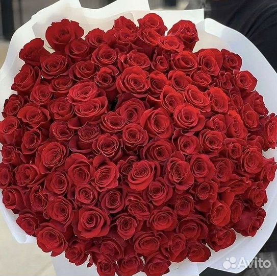 Высокие Розы Гиганты Доставка Круглосуточно