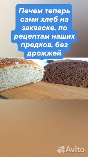 Пшеничная и ржаная закваска для хлеба