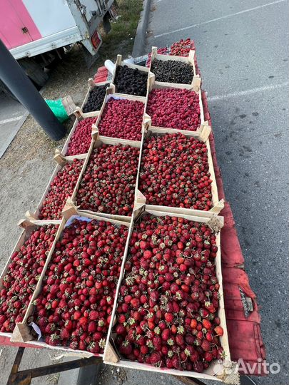 Ягоды из киргизии