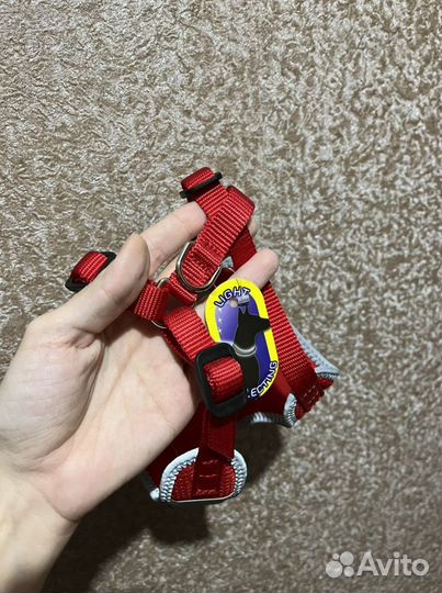 Шлейка для маленькой собаки