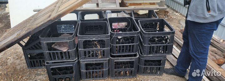 Ящик для бутылок