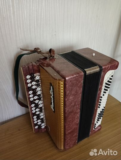 Баян Ростов Дон