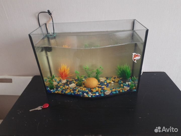 Аквариум с тумбой бу и рыбками