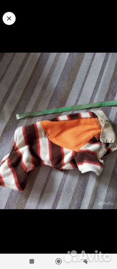 Одежда для маленькой собаки