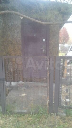 Участок 12 сот. (СНТ, ДНП)