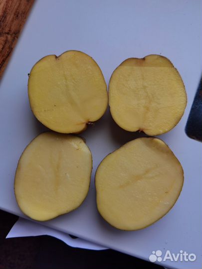 Картофель домашний