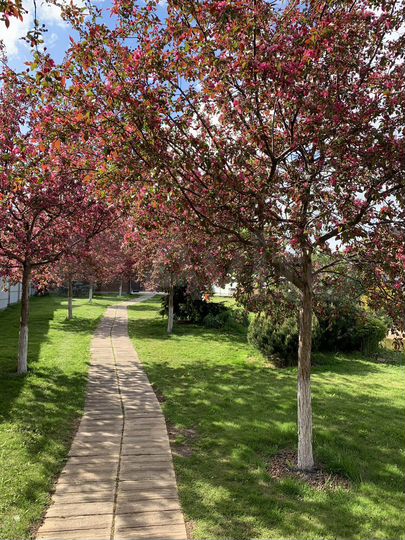 Дом 260 м² на участке 12 сот.