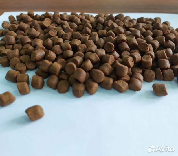 Корм для осетра