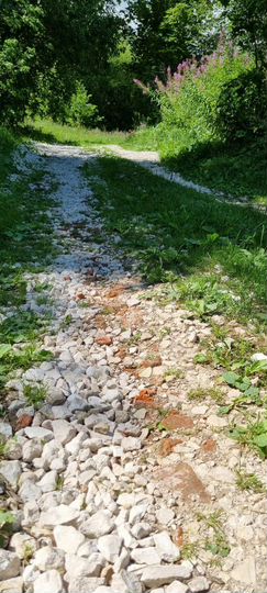 Участок 15 сот. (ИЖС)