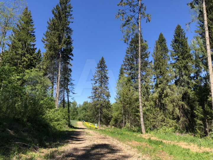 Участок 12 сот. (СНТ, ДНП)