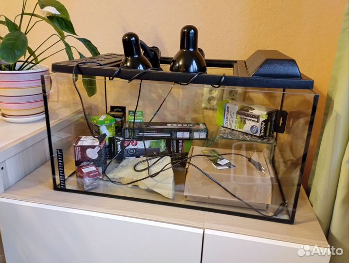 Всё для содержания водной черепахи