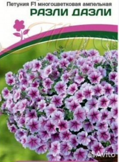 Петунья ампельная и каскадная