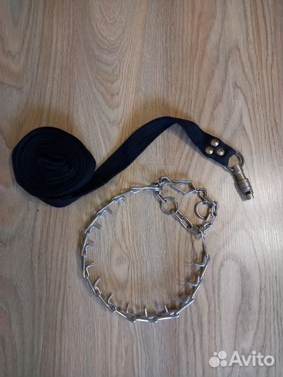 Поводок и ошейник на крупную собаку