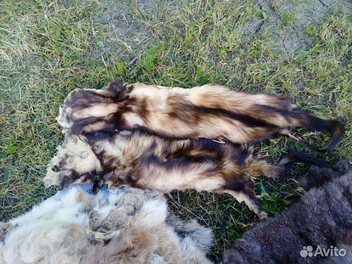 Шкура кролика