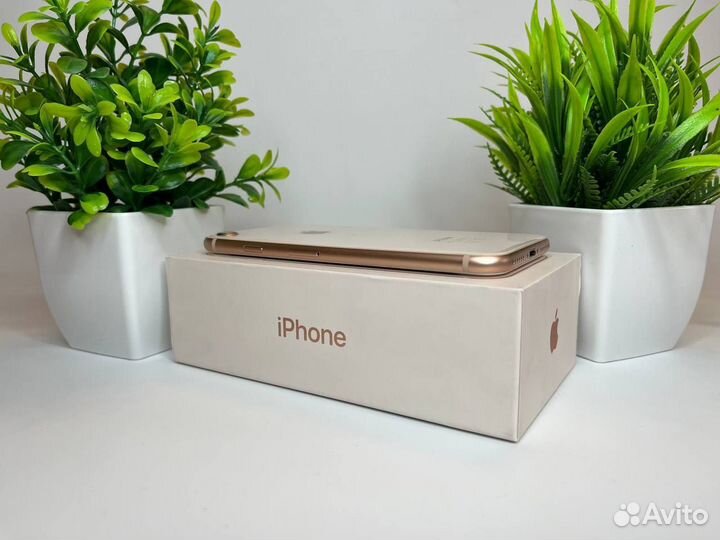 iPhone 8, 64 ГБ