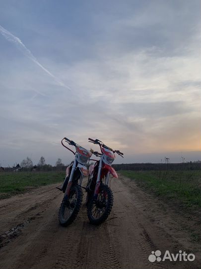 Bse mx 125